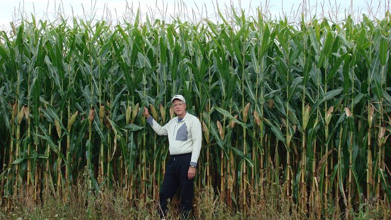 Me-In 10' Corn.JPG